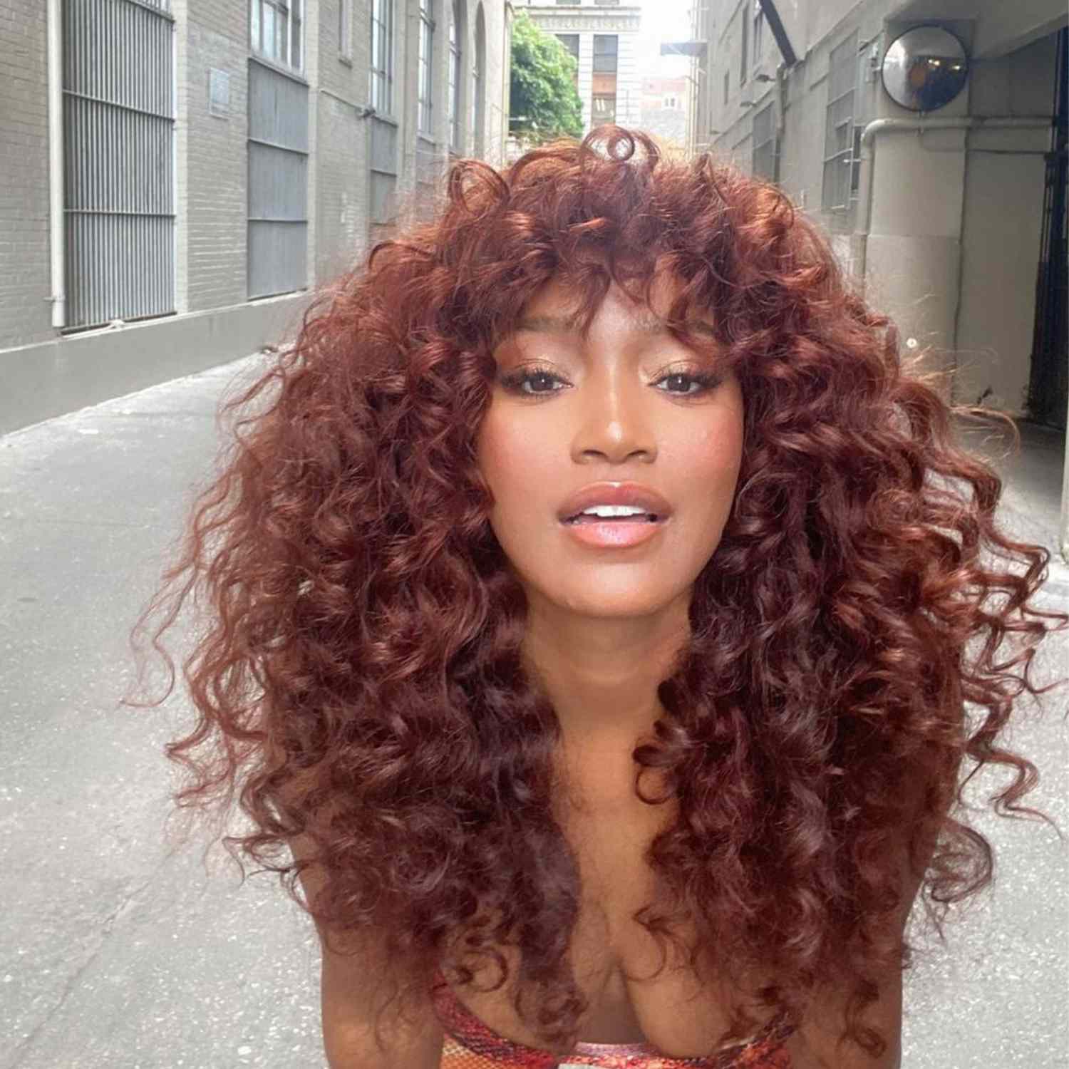 Deep Auburn Mid-Back Curls With Highlights Deep Auburn Mid-Back Curls With Highlights — Winter Hair Colors for Curly Hair
