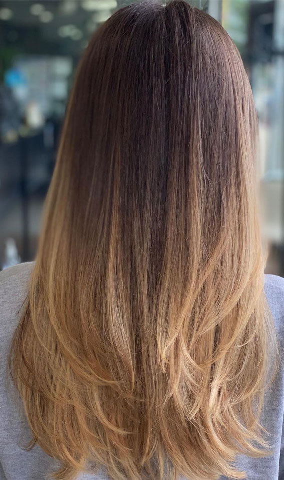 Mocha Brown To Honey Beige Ombré — Blonde to Brunette Hair
