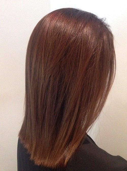 Blunt Bob Visual Idea Blunt Bob Visual Idea — Chestnut Brown Hair