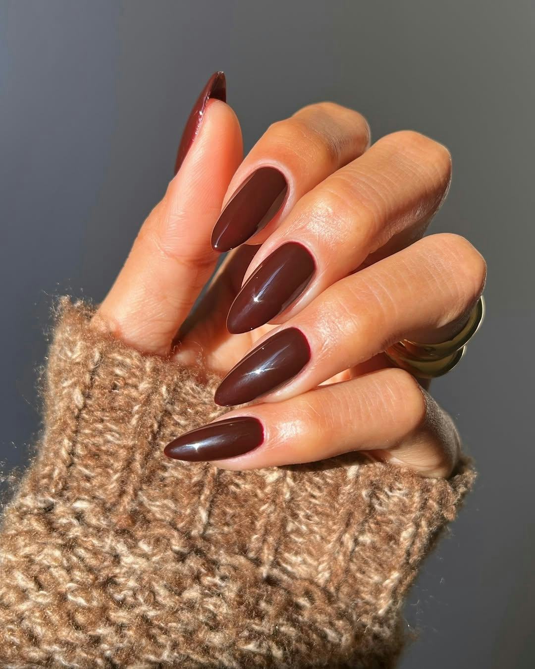 Long Stiletto Chocolate Brown Glossy — Winter Nail Colors