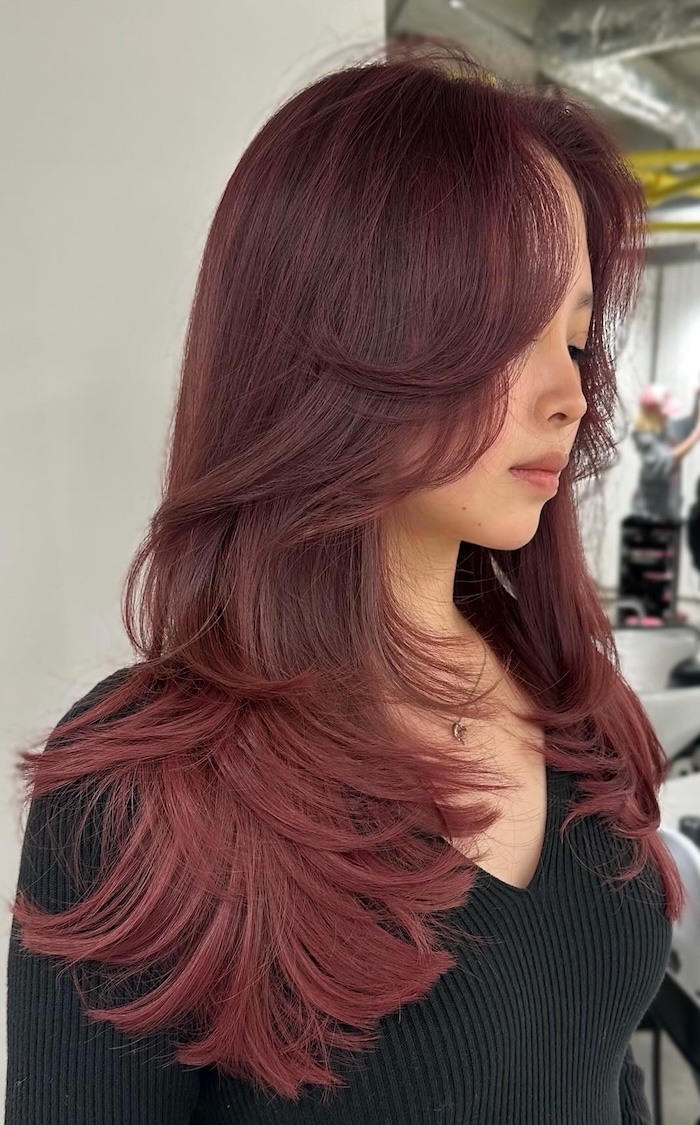 Soft Dimensional Violet Plum — Plum Hair Color