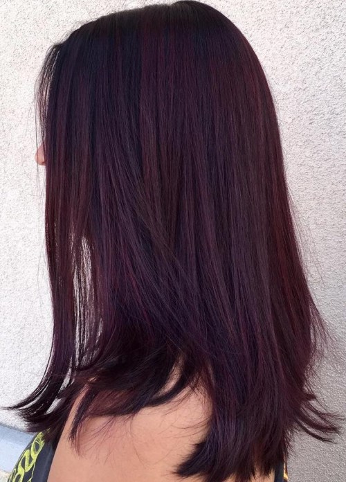 Chin-Length Dark Burgundy with Violet Chin-Length Dark Burgundy with Violet — Burgundy Hair Color