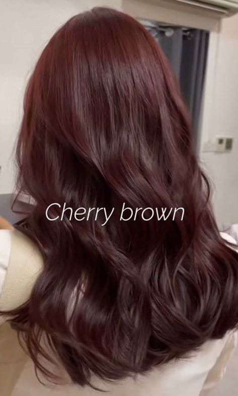 Cherry Brown Visual Idea — Dark Winter Hair Colors