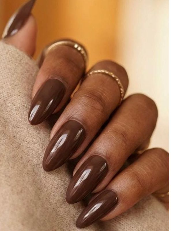 Long Stiletto Deep Dark Chocolate Glossy Stiletto Nails Long Stiletto Deep Dark Chocolate Glossy Stiletto Nails — Chocolate Brown Nails