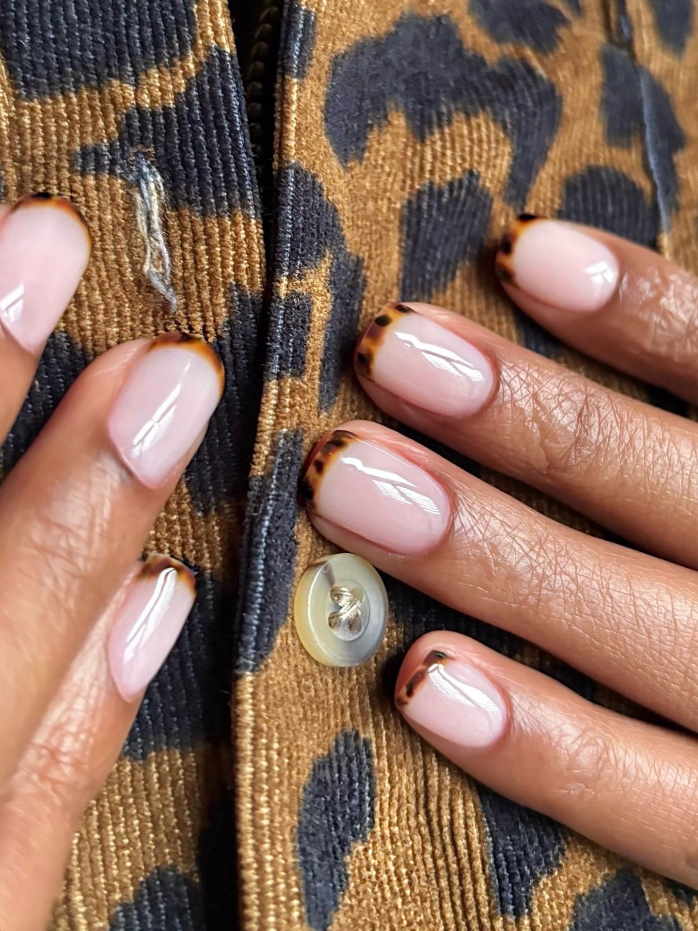 Elegant Tortoiseshell French Tips Elegant Tortoiseshell French Tips — Fall to Winter Nails
