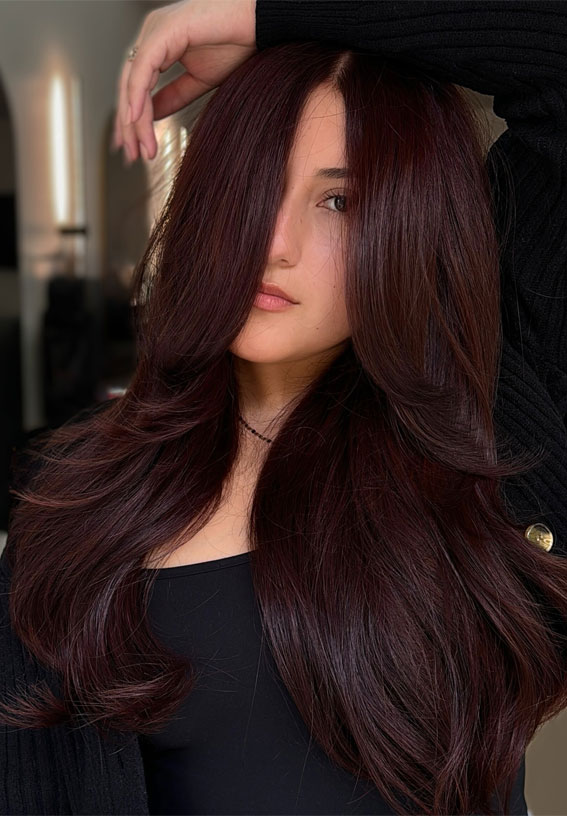 Rich Plum Mid-Back Waves — Dark Winter Hair Colors