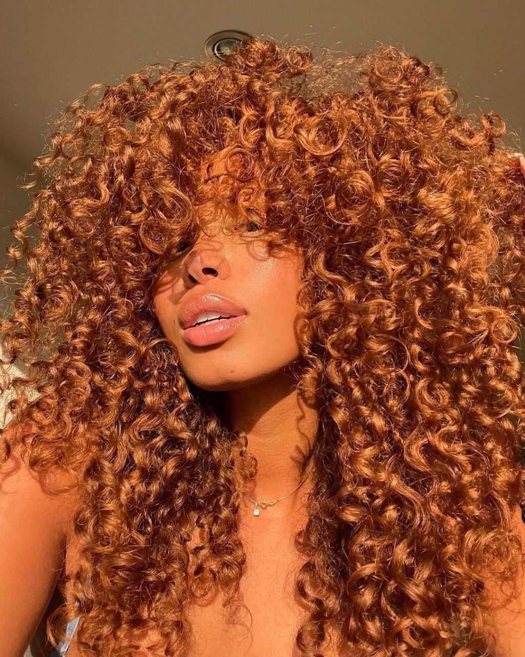 Mid-Back Curly Hair With Copper And Gold Highlights — Aesthetic Dye Hair