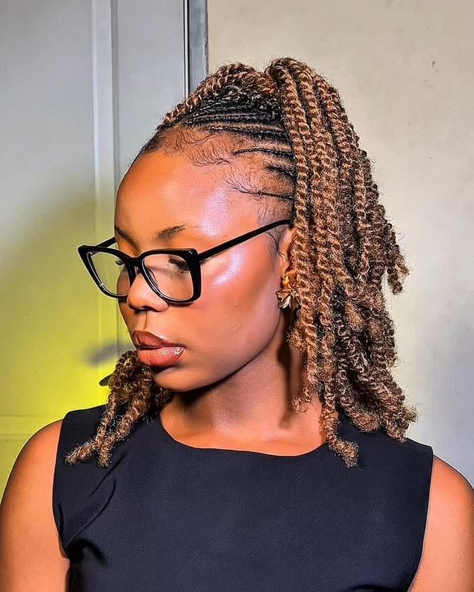 Two-Tone Braids and Twists Ponytail Two-Tone Braids and Twists Ponytail — Classy Braids Wig