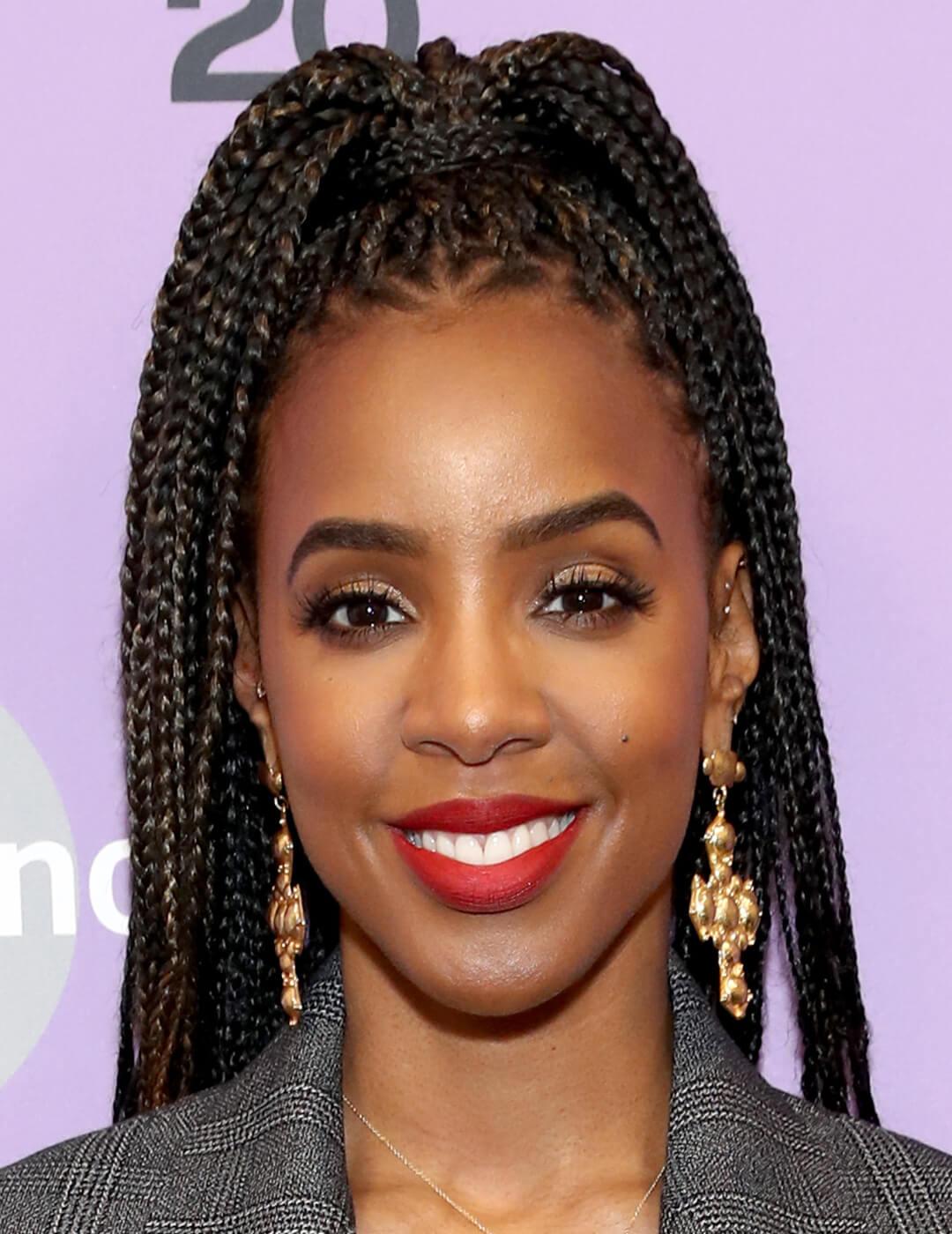 Black Box Braids with Subtle Highlights Black Box Braids with Subtle Highlights — Classy Braids Wig