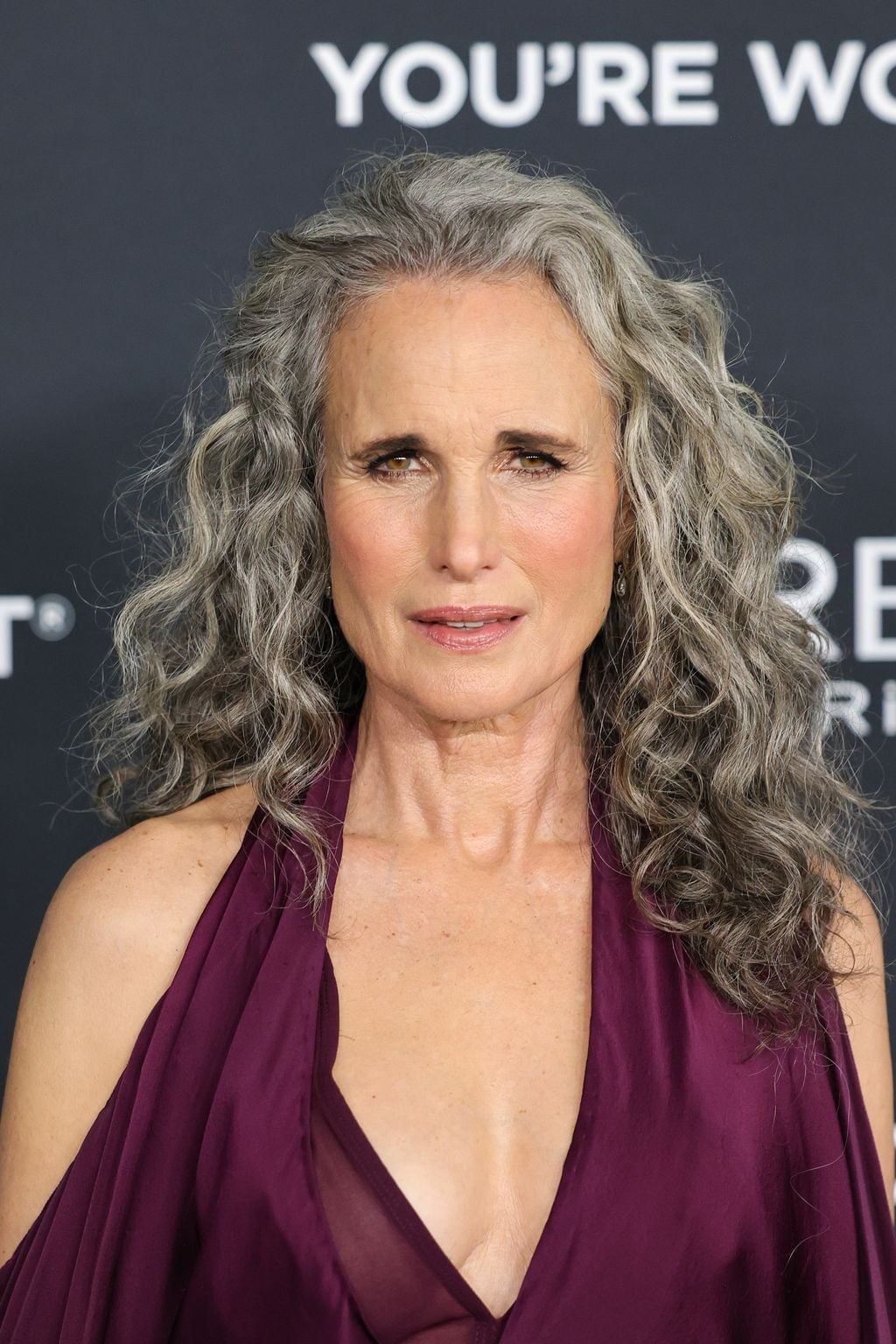 Shoulder Length Fine Wavy-Curly Silver Gray Hair, Air-Dried Waves — Classy Long Curly Hair