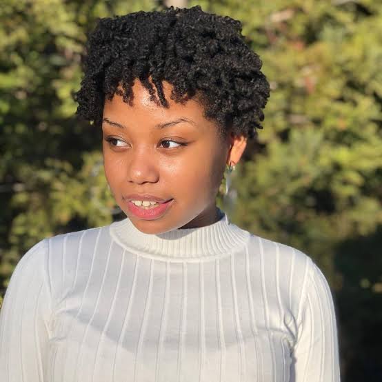 Thick Black Coily Hair Air Dried Thick Black Coily Hair Air Dried — Classy Short Natural Hairstyles