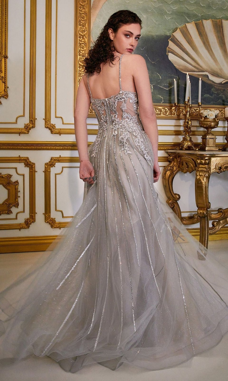 Silver Glittered Tulle A-Line Gown With Train — Classy Silver Outfits