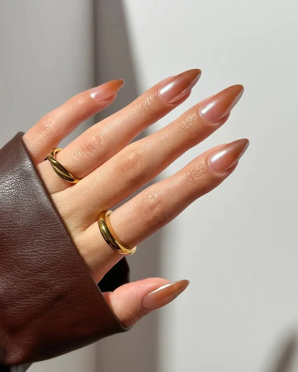 Long Sharp Almond Pearlescent Brown Nails Long Sharp Almond Pearlescent Brown Nails — Cute Brown Nails