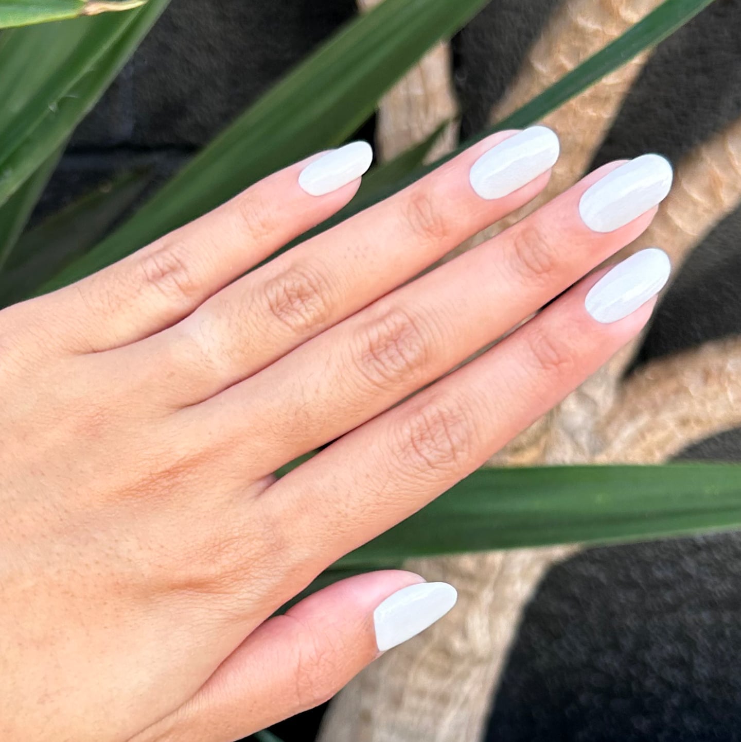 Opaque White Glossy Short Almond Nails — Cute Dip Nails