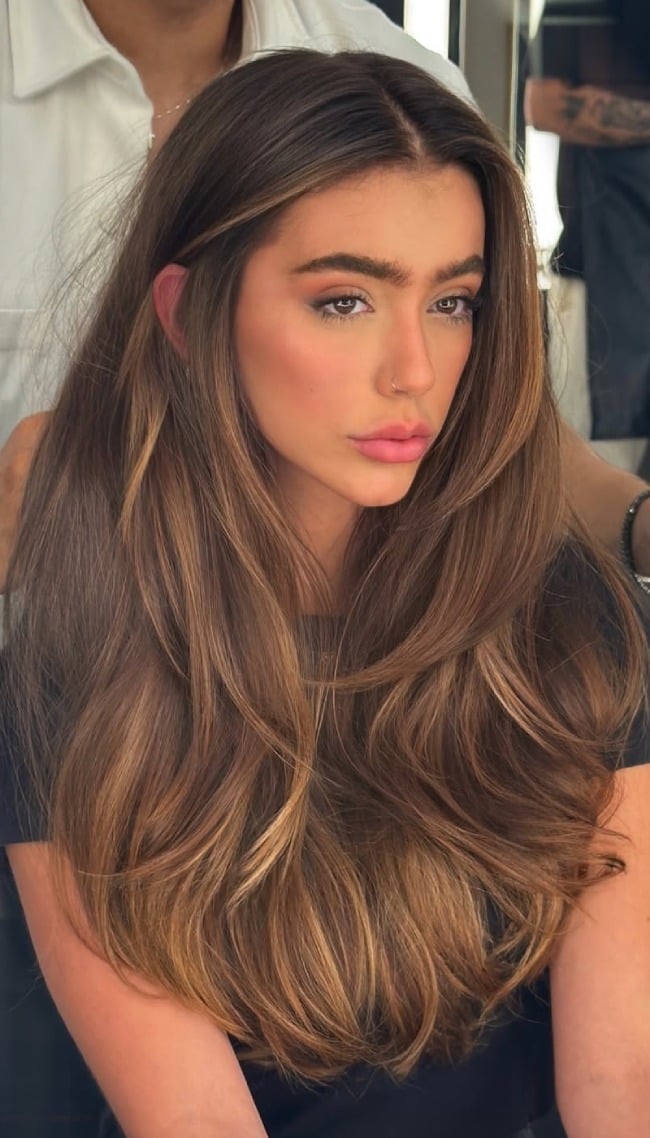 Mid-Back Mocha Brown With Honey Caramel Highlights — Mocha Brown Hair