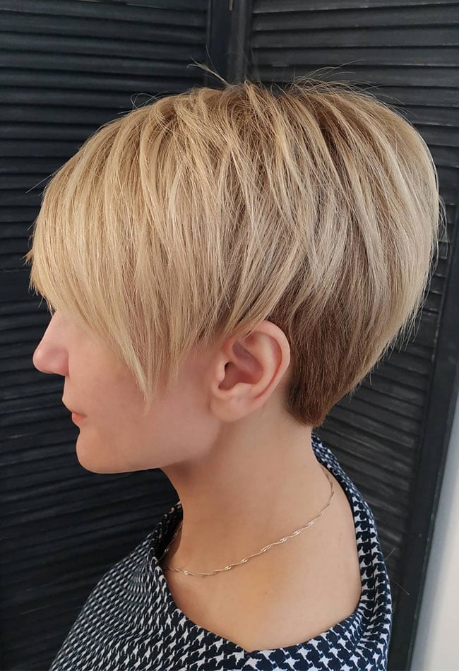 Blonde Graduated Pixie Bob