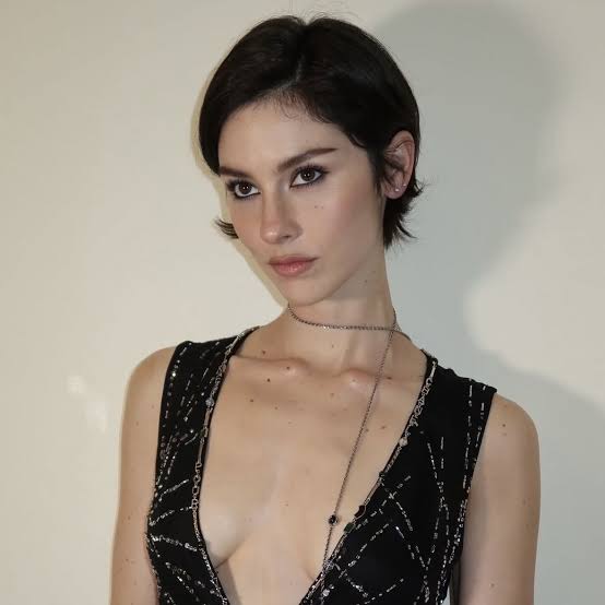 Textured Layers Dark Brown Pixie Bob, Ear