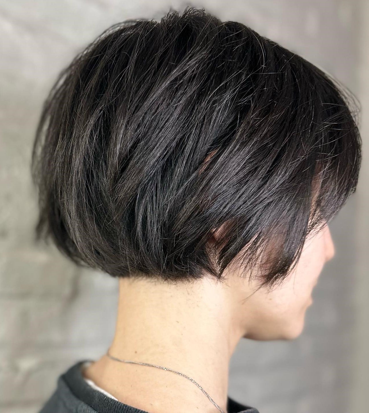Textured Dark Brown Pixie Bob, темно-каштановый