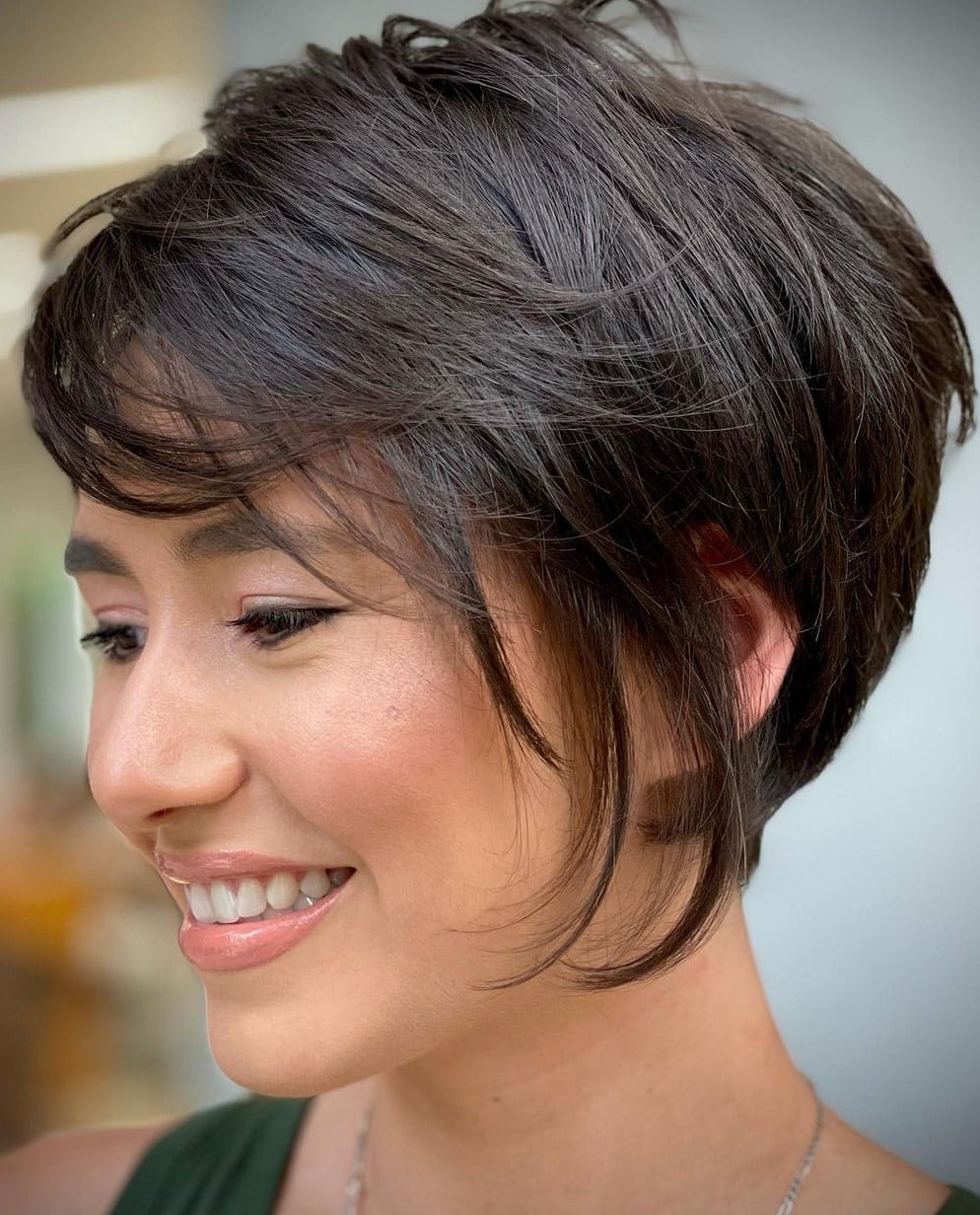 Textured Dark Brown Pixie Bob