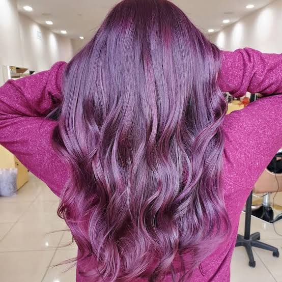 Mid-Back Dark Base With Plum Tones — Purple Hair Dye Inspiration