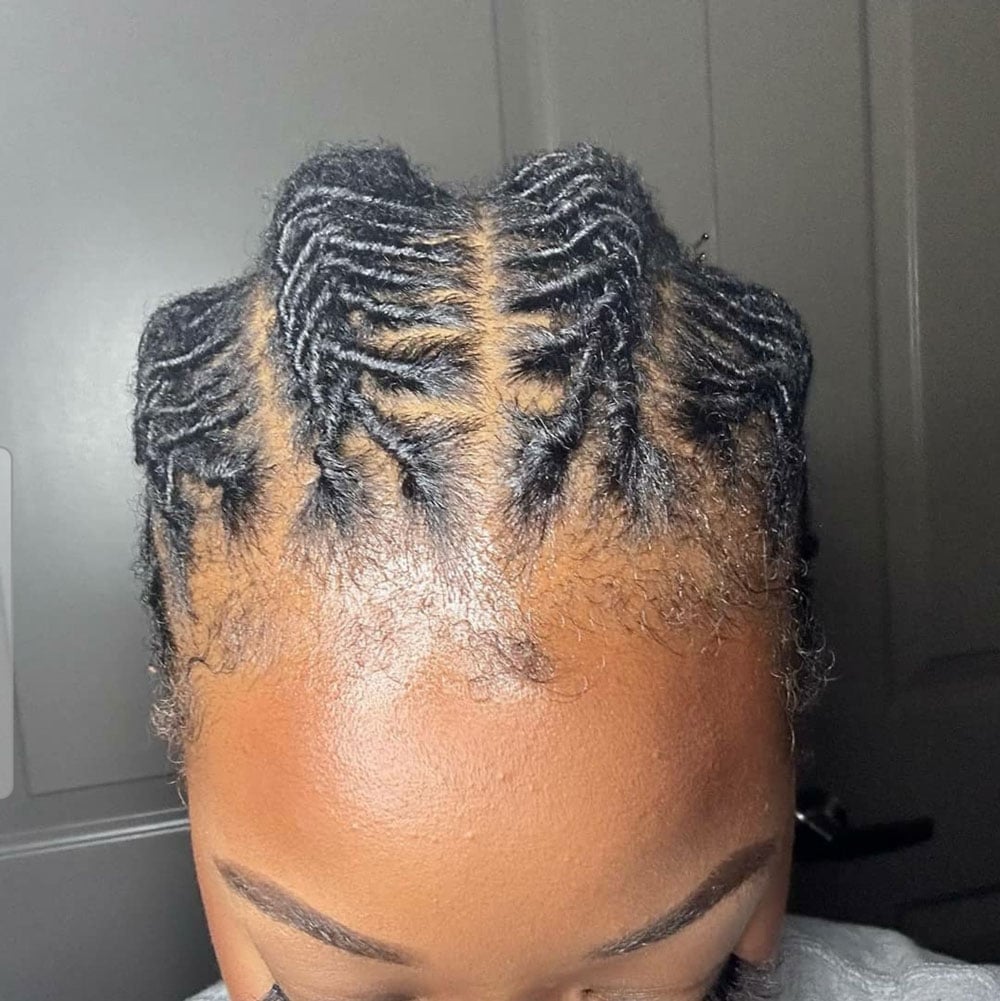 Defined Barrel Twists Top View Defined Barrel Twists Top View — Simple Barrel Locs