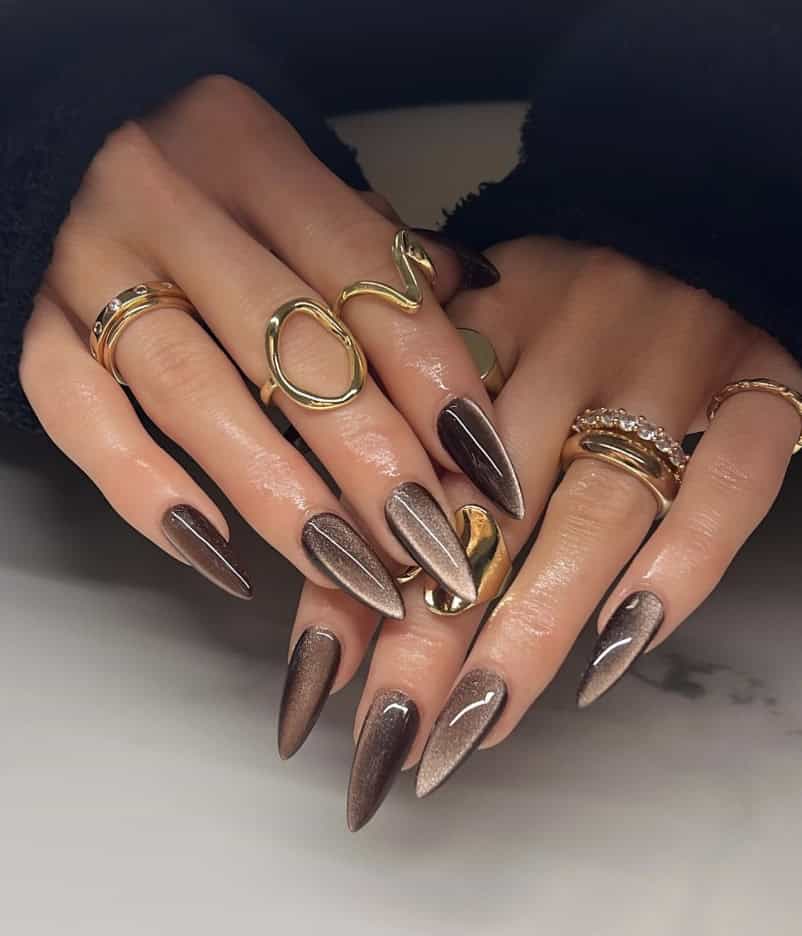 Medium-Long Stiletto Brown Cat-Eye — Simple Brown Ombre Nails
