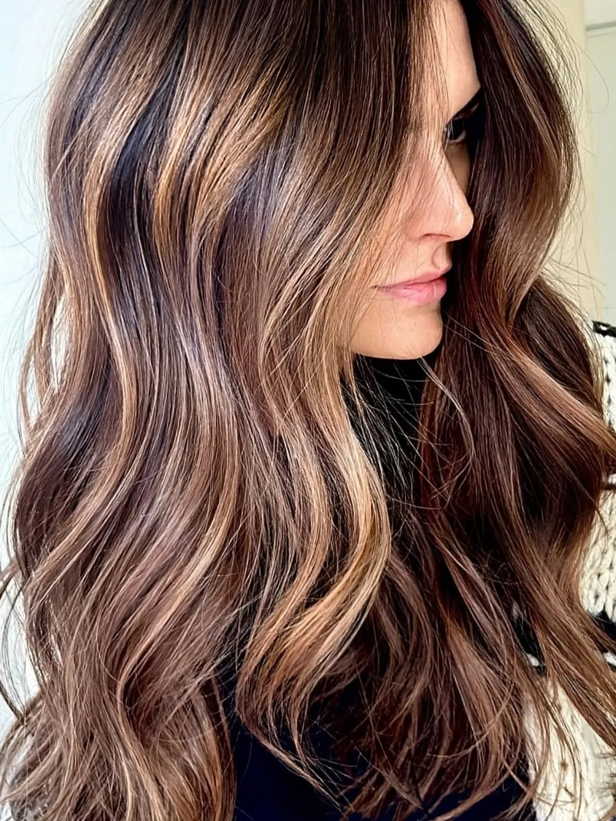 Medium Brown With Subtle Blonde Highlights — Simple Brunette Highlights