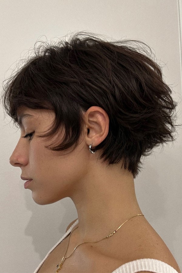 Dark Brown Pixie Bob With Side-Swept Bangs — Simple Choppy Layers