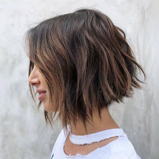Medium Brown Long Shag With Visible Layers — Simple Choppy Layers