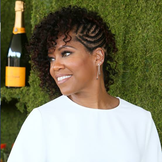 Shoulder-Length Braids With Auburn Highlights — Simple Curls Braids
