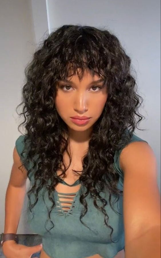 Mid-Back Wolf Cut With Shaggy Bangs, Dark Brown With Subtle Highlights — Simple Curly Wolf Cut