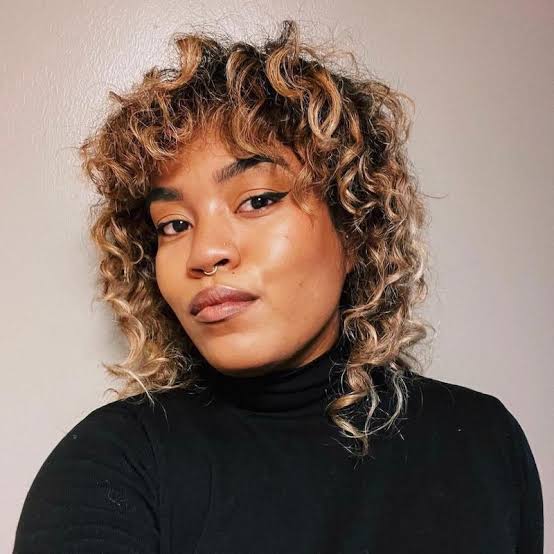 Shoulder Length Wolf Cut With Honey Blonde Highlights — Simple Curly Wolf Cut