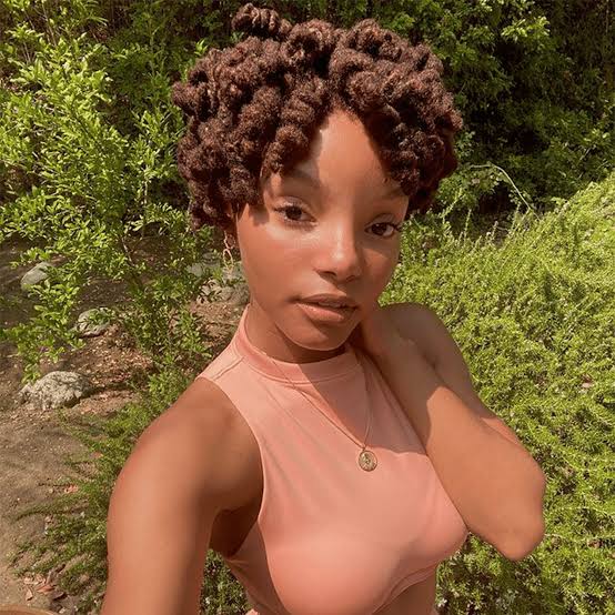 Collarbone Sleek Black Locs Collarbone Sleek Black Locs — Simple Down Locs