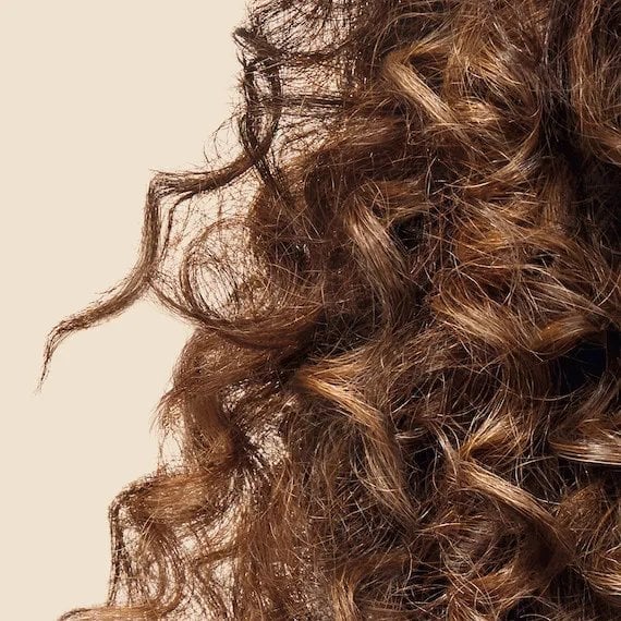 Thick Curly Hair With Brown Highlights — Simple Hair Types Chart