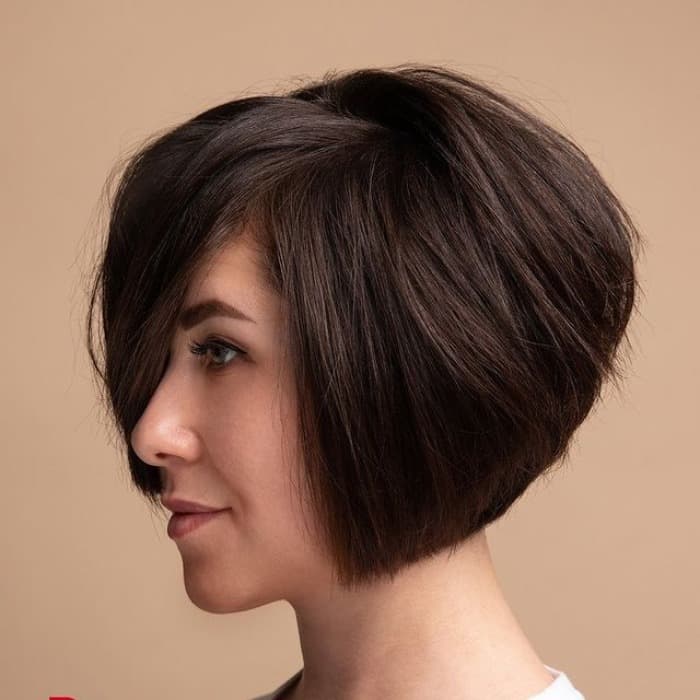 Thick Straight Dark Brown Inverted Bob — Simple Inverted Bob