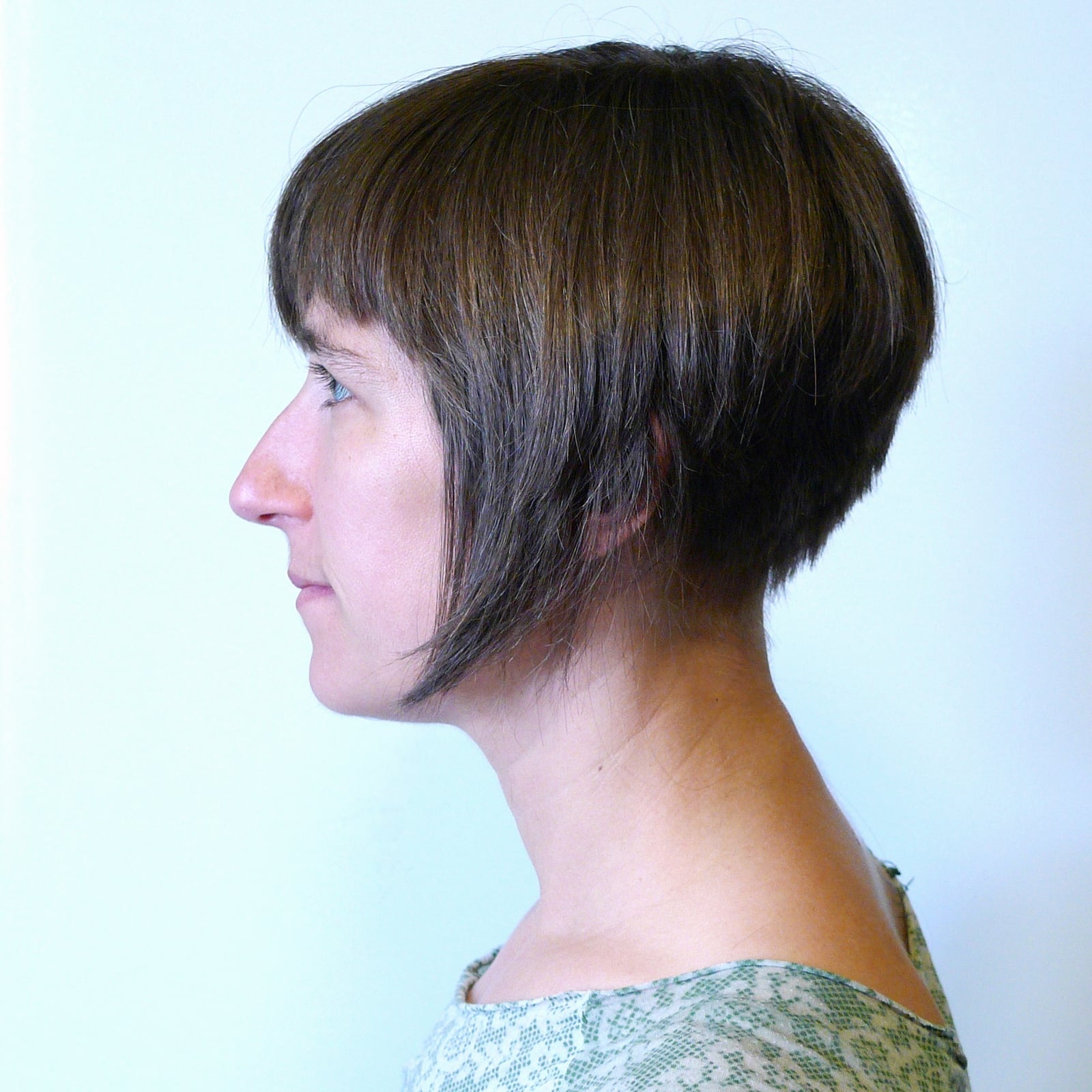 Chin Length Inverted Bob With Blunt Bangs — Simple Inverted Bob
