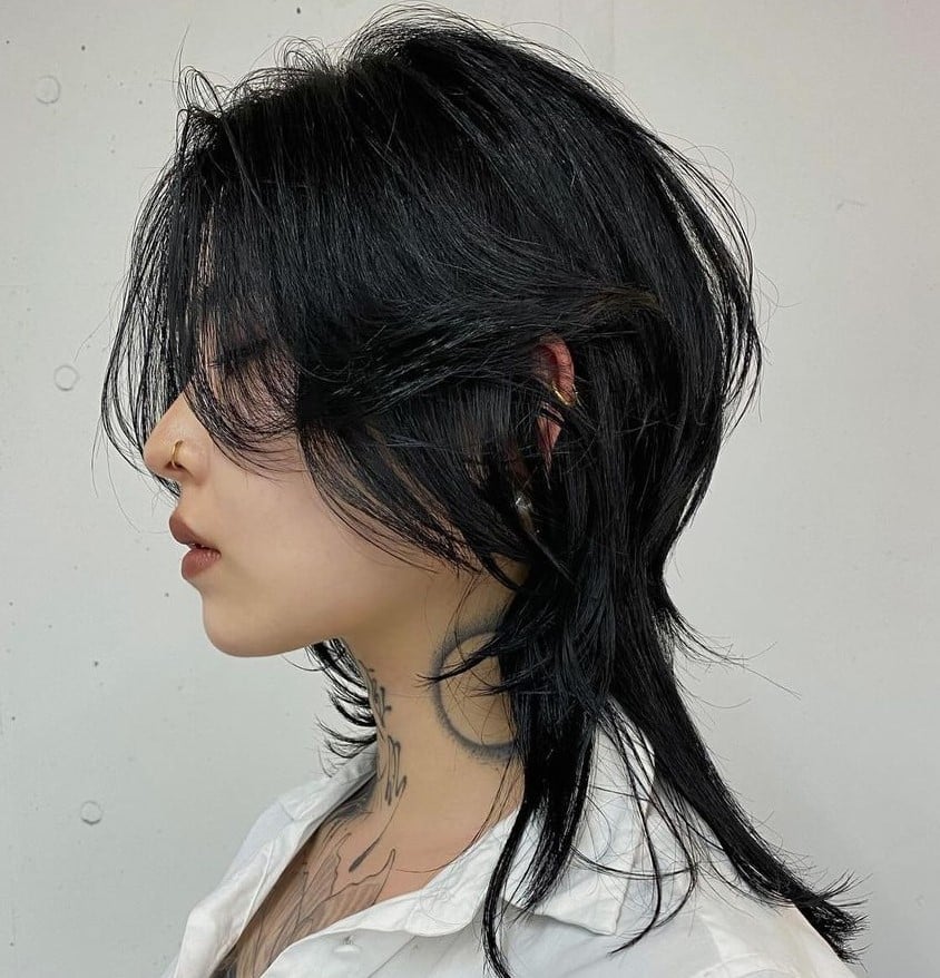 Black Wolf Cut With Shaggy Layers And Curtain Bangs Black Wolf Cut With Shaggy Layers And Curtain Bangs — Simple Korean Hair