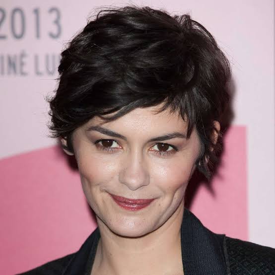 Chin Length Dark Brown Shag With Fringe — Simple Lesbian Haircuts