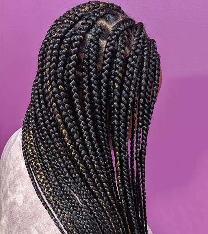 Mid-Back Box Braids With Blonde Highlights Back View — Simple Medium Braids
