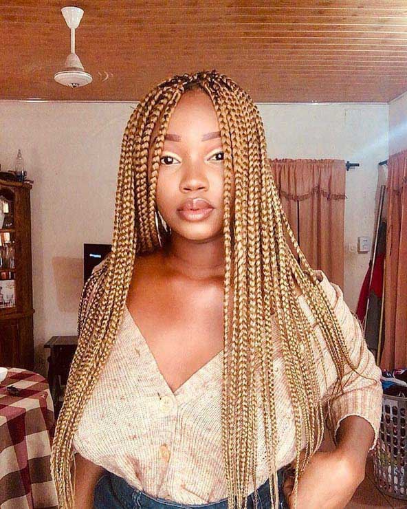 Mid-Back Blonde Box Braids With Light Highlights, Close-Up Take — Simple Medium Braids