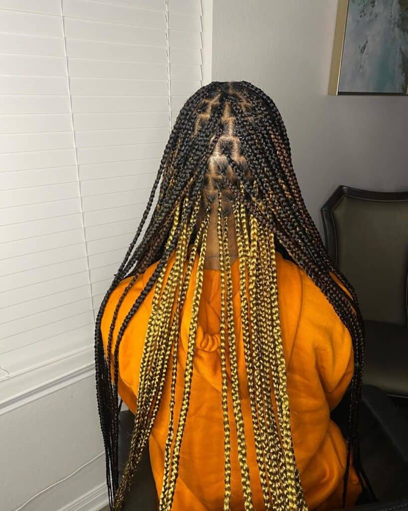 Mid-Back Box Braids With Black and Yellow Curly Ends, Close-Up Take — Simple Peekaboo Braids