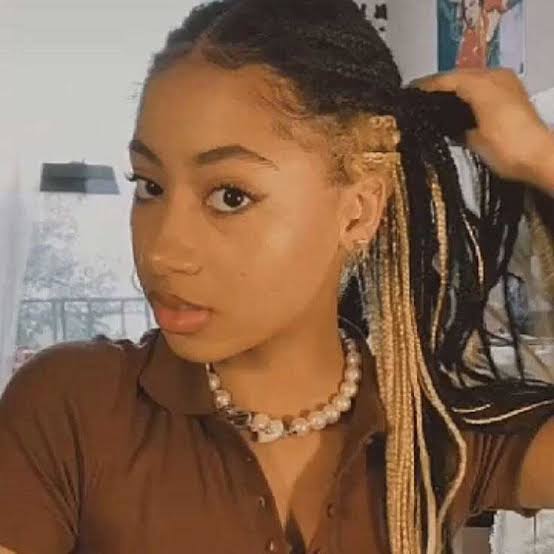 Thick Coily Box Braids With Hidden Blonde Braids — Simple Peekaboo Braids