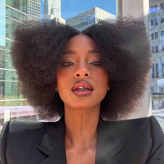 Large Voluminous Afro Large Voluminous Afro — Simple Puff Hairstyles