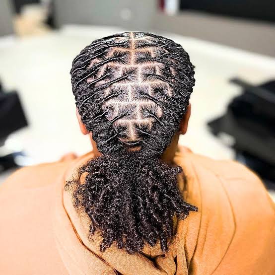 Black Locs Ponytail With Undercut Tail — Simple Retwist Locs