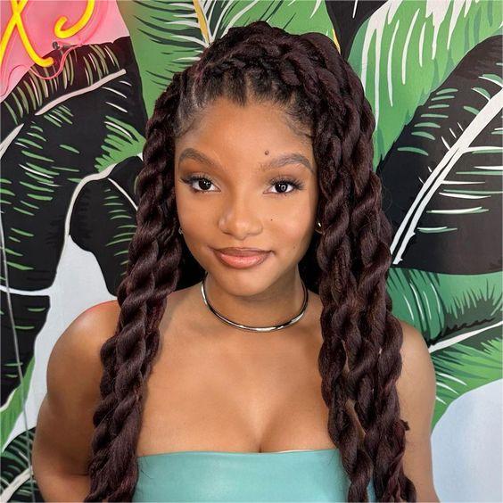 Dark Brown Mid-Back Twists With Auburn Highlights — Simple Senegalese Twists