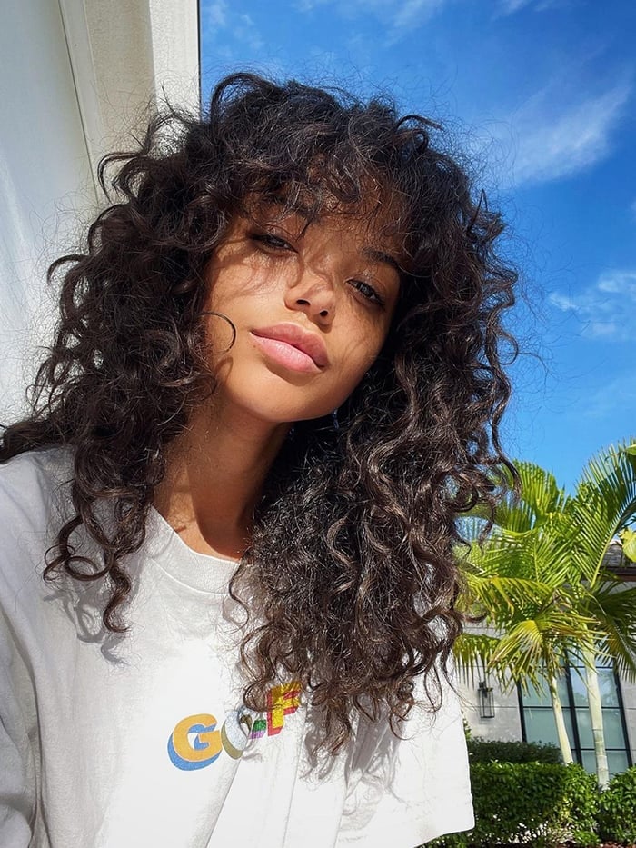 Mid-Back Length Dark Brown Curly Shag — Simple Shag Hair