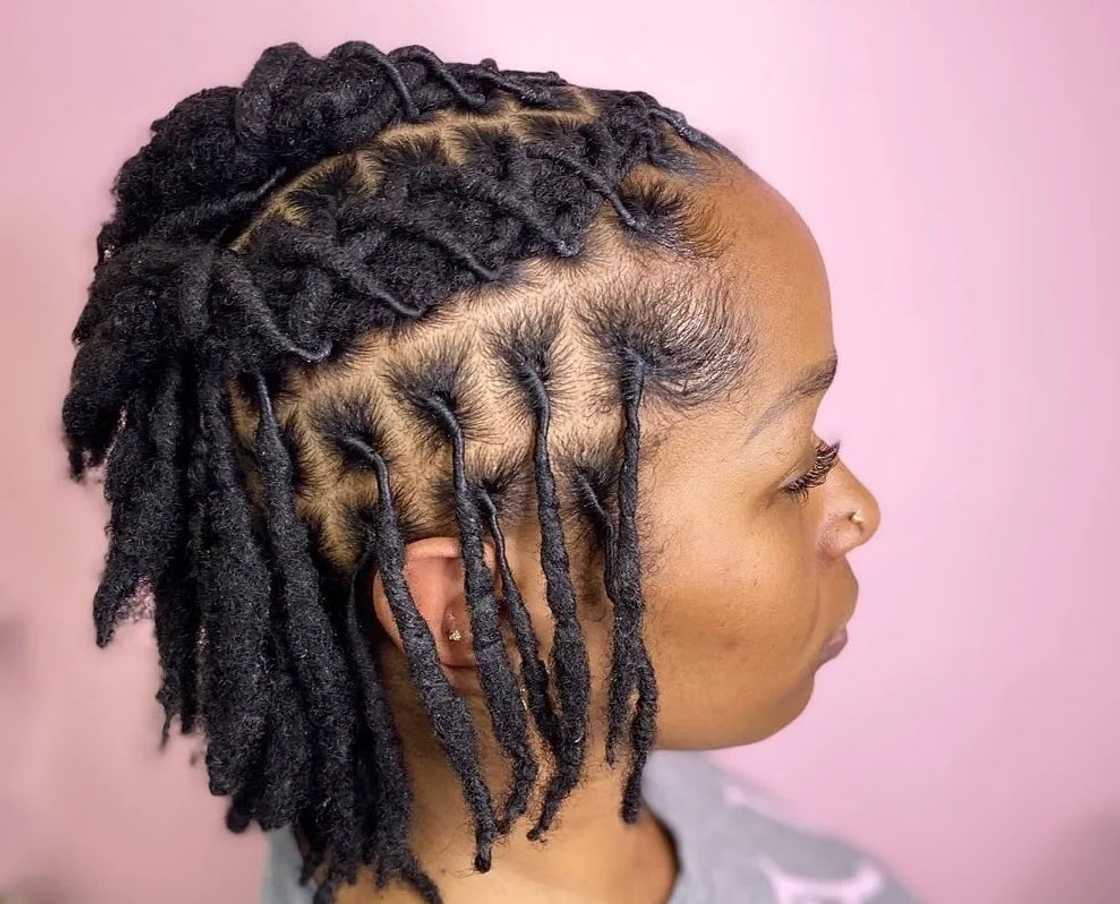 Chin Length Starter Locs