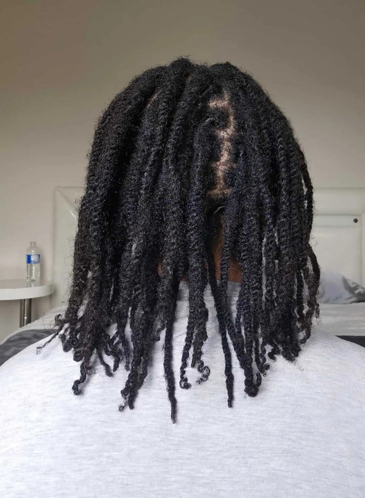 Mid-Back Twisted Locs — Starter Locs
