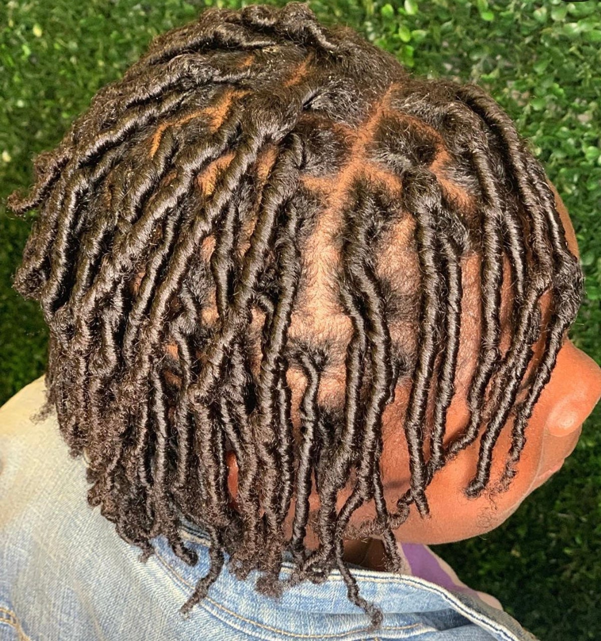 Neatly Parted Short Dark Brown Locs — Starter Locs