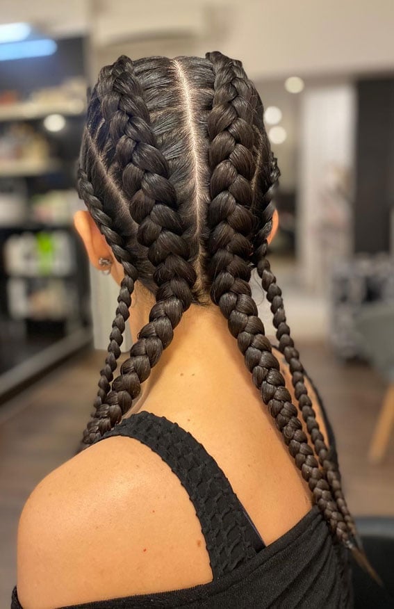 Two Neat Dark Brown Braids — Trendy Braids to the Back